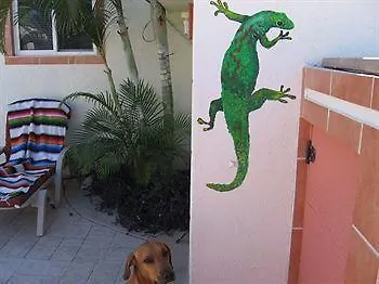 Appartement Cabo'S Little Secret Two Bedroom Condos Cabo San Lucas Mexico